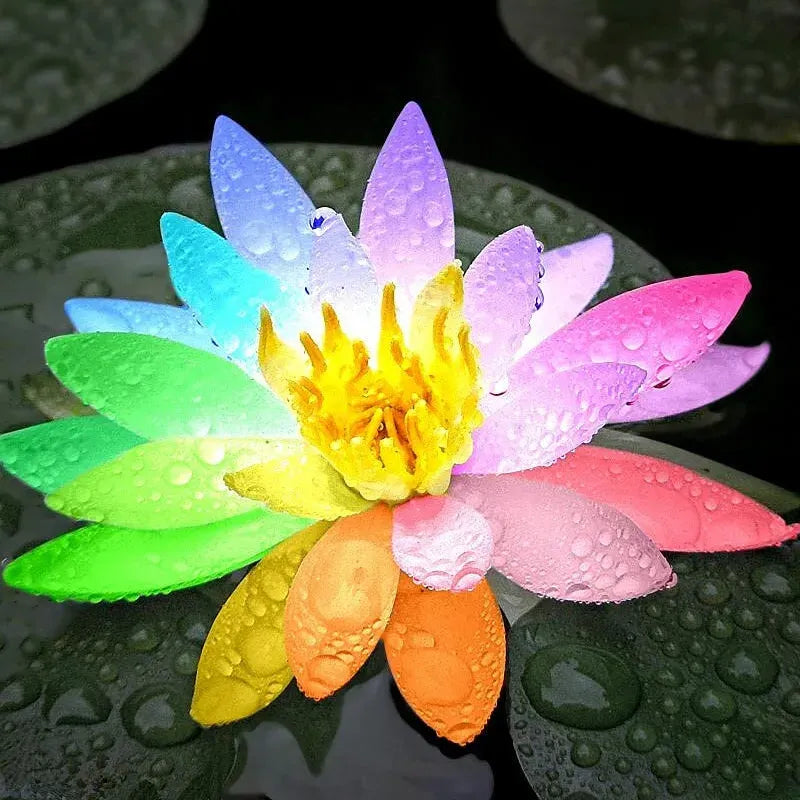 Last Day 50% OFF💐The Sacred Bonsai Bowl Lotus Flower(pack of 2)